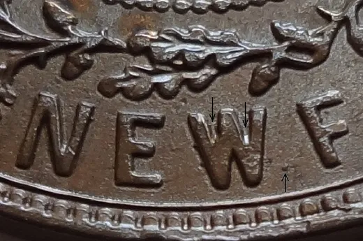 Letter Details in NEWF