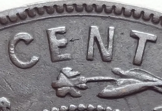 Letter Details in NEWF