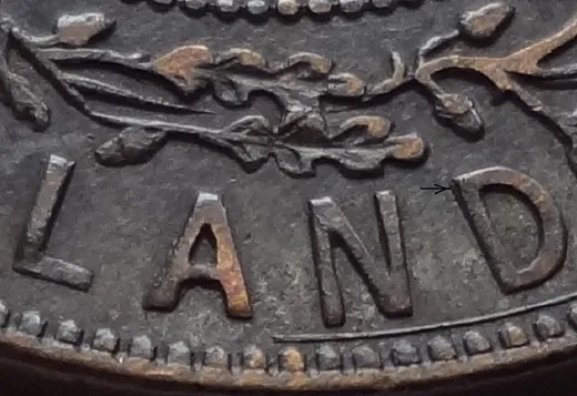 Letter Details in LAND