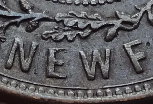 Letter Details in NEWF