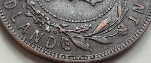 Reverse Right Side Details