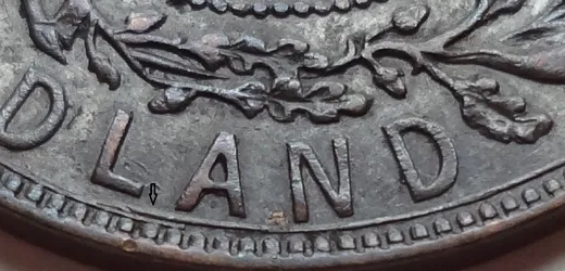 Details & Wire Spur in LAND