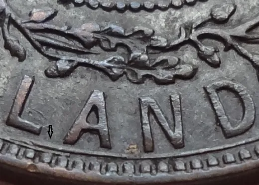 Details & Wire Spur in LAND