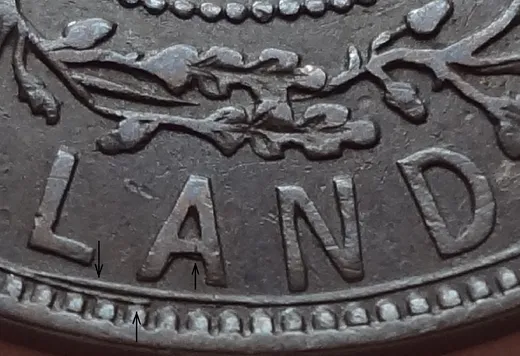 Details & Wire Spur in LAND
