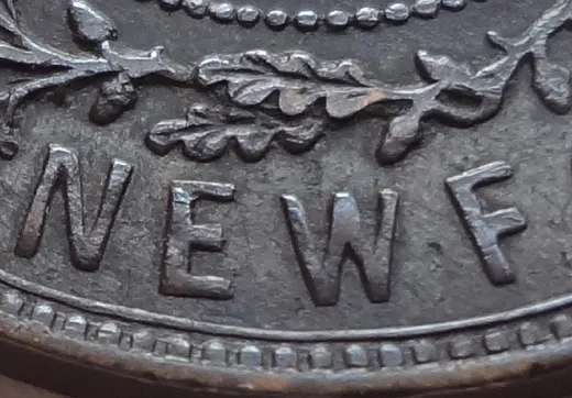 Letter Details in NEWF