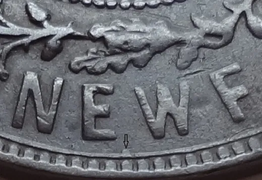 Wire Border Stub in NEWF