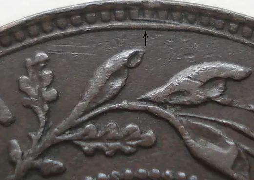 Wire Border Spur - Left Side