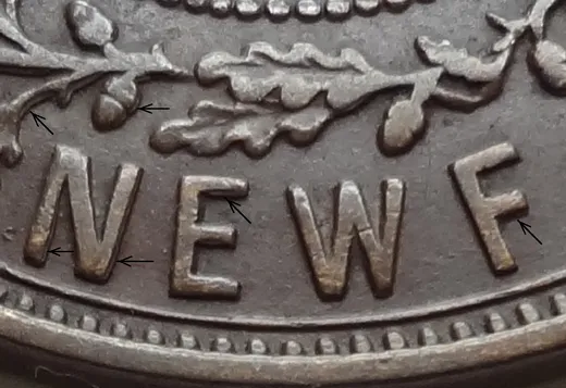 Letter Details in NEWF