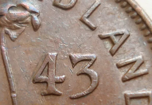 Date, close-up