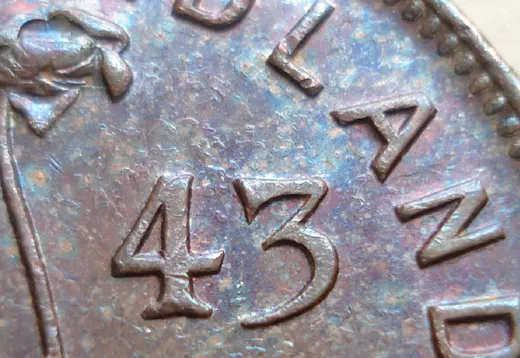 Date, close-up