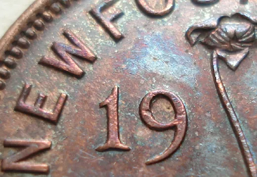 Date, close-up